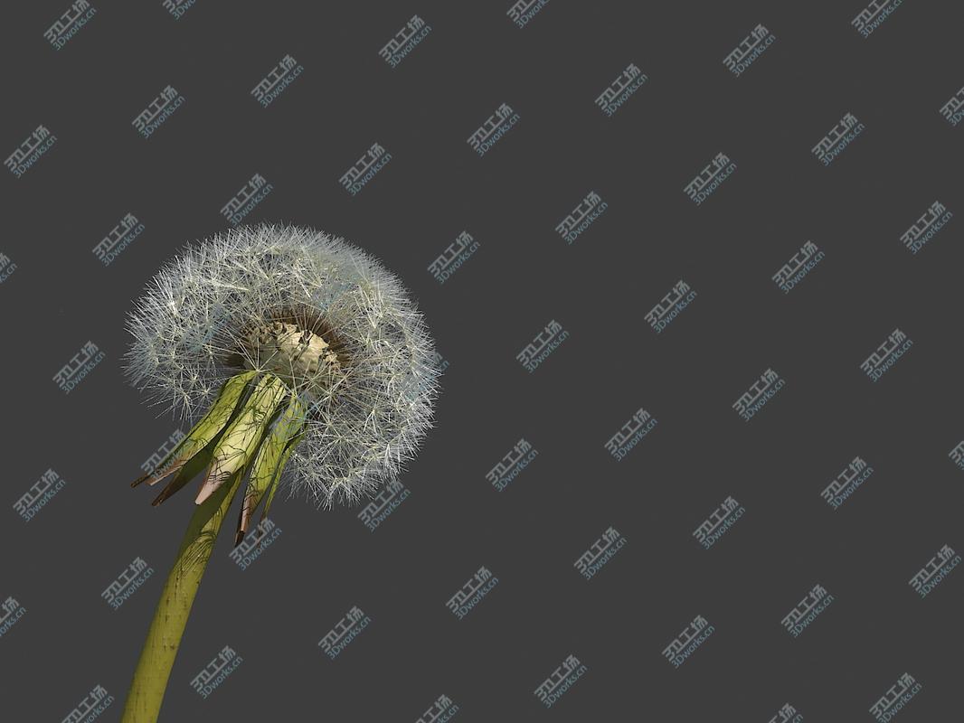 images/goods_img/2021040232/Dandelion 01/2.jpg